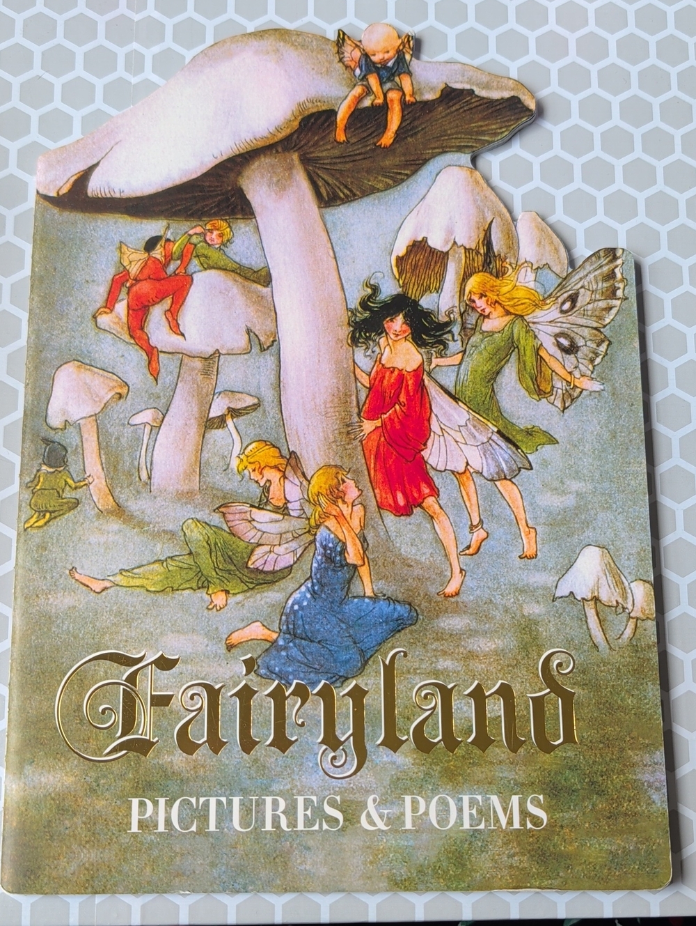 Fairyland Pictures And Poems Book By Laughing Elephant
